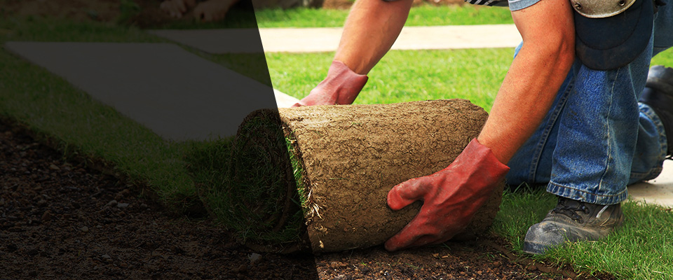 Sun Valley Landscapers